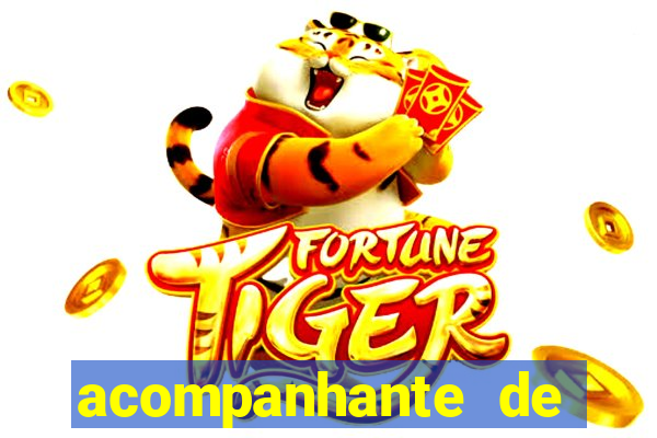 acompanhante de porto seguro